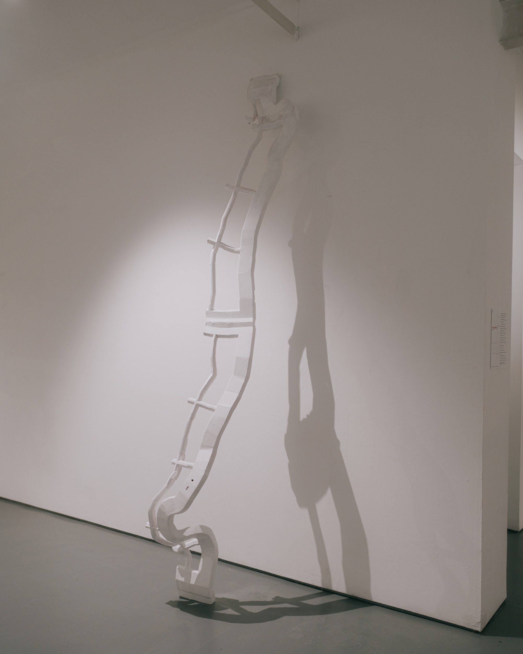 ‘Jacob’s ladder’