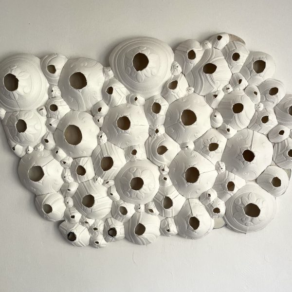 Brood